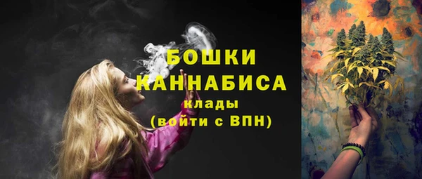 дмт Богородицк