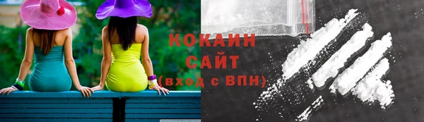 дмт Богородицк