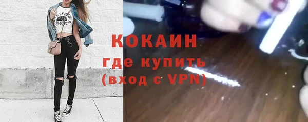 прущие грибы Богородск