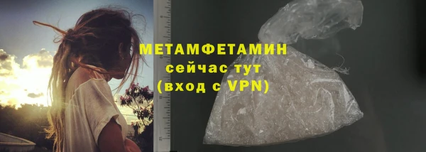 прущие грибы Богородск