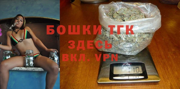 эйфоретик Бородино