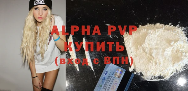 прущие грибы Беломорск