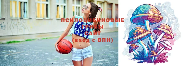 винт Баксан