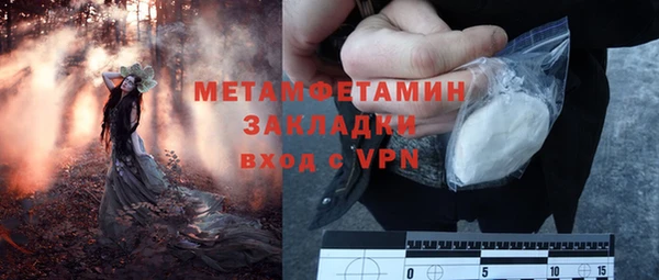 прущие грибы Богородск