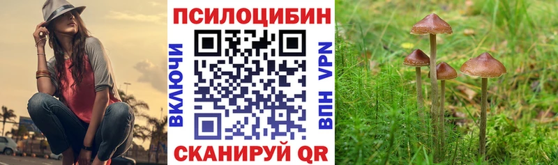 Галлюциногенные грибы Psilocybine cubensis  Валуйки 